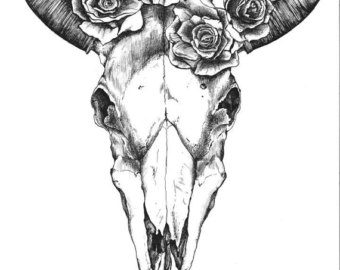 340x270 Bull Skull Drawing Etsy - Cow Skull Drawing