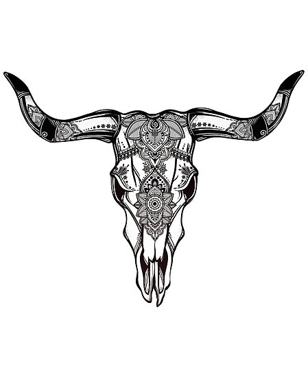 Cow Skull Drawing at PaintingValley.com | Explore collection of Cow ...