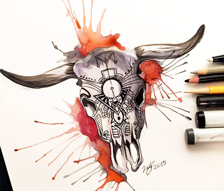 750x640 Cow Skull Color Drawing - Cow Skull Drawing