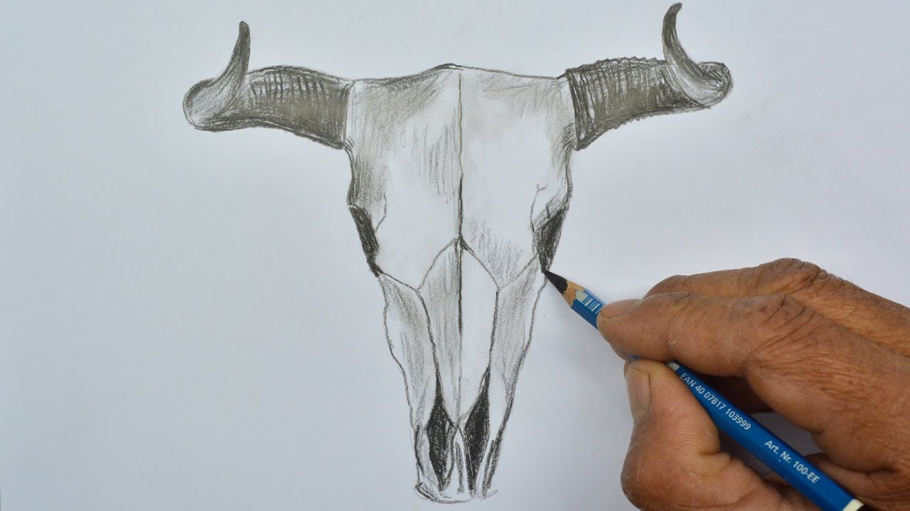 1280x720 How To Draw A Bull Skull - Cow Skull Drawing