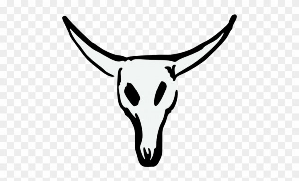 600x364 Longhorn Skull Drawing - Cow Skull Drawing