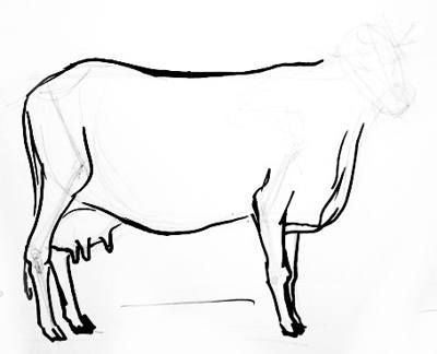 400x324 Cow`s Udder Drawing Cow Drawings, Cow, Drawing Lessons - Cow Udder Drawing