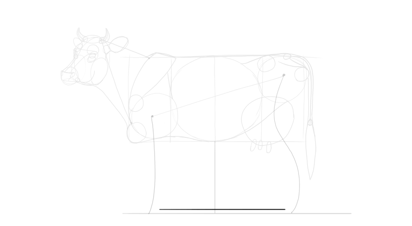 850x467 How To Draw A Cow - Cow Udder Drawing