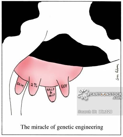 400x446 Udder Cartoons And Comics - Cow Udder Drawing