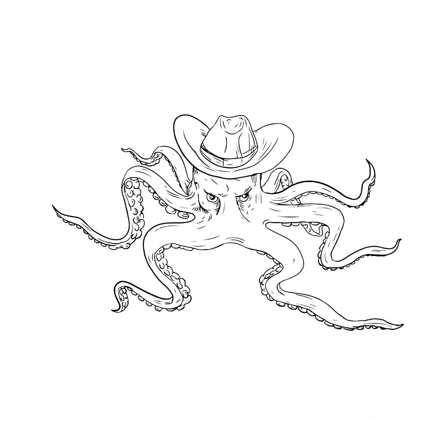 900x900 Octopus Wearing Cowboy Hat Drawing Digital Art - Cowboy Hat Line Drawing