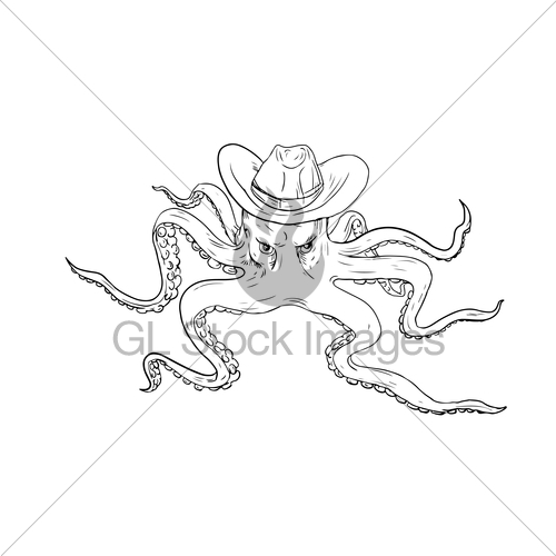 500x500 Octopus Wearing Cowboy Hat Drawing Gl Stock Images - Cowboy Hat Line Drawing