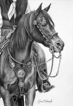 236x343 Best Horses In Art - Cowboy On Horse Drawing