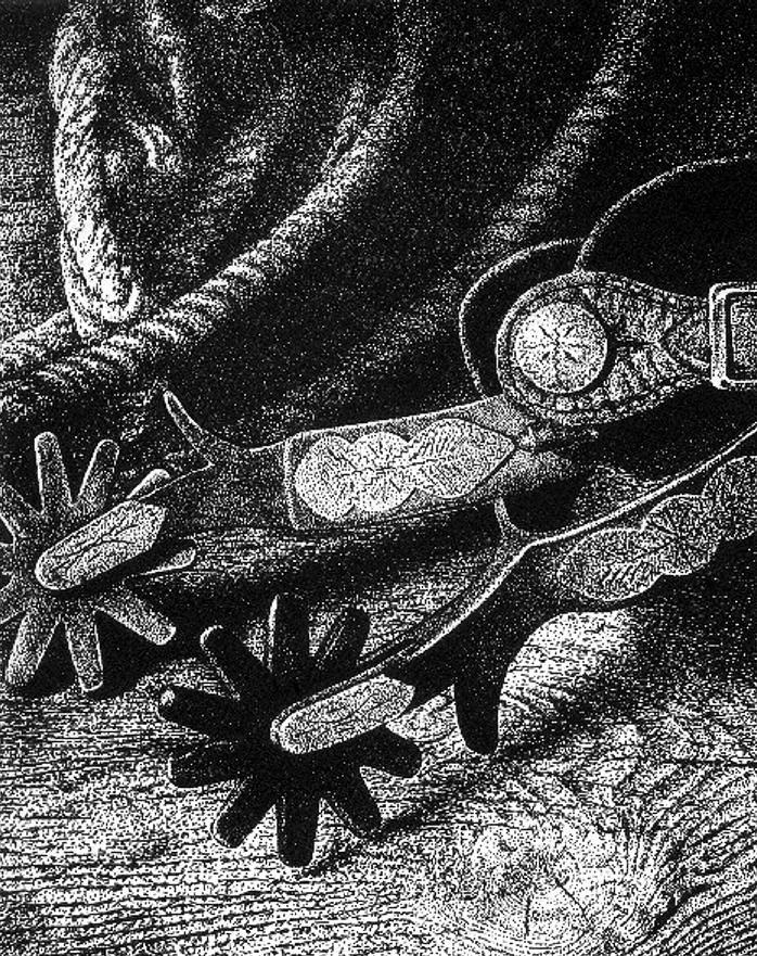 698x881 lasso and spurs drawing - Cowboy Spurs Drawing