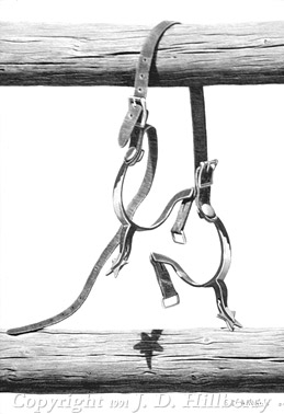 259x378 spurs - Cowboy Spurs Drawing