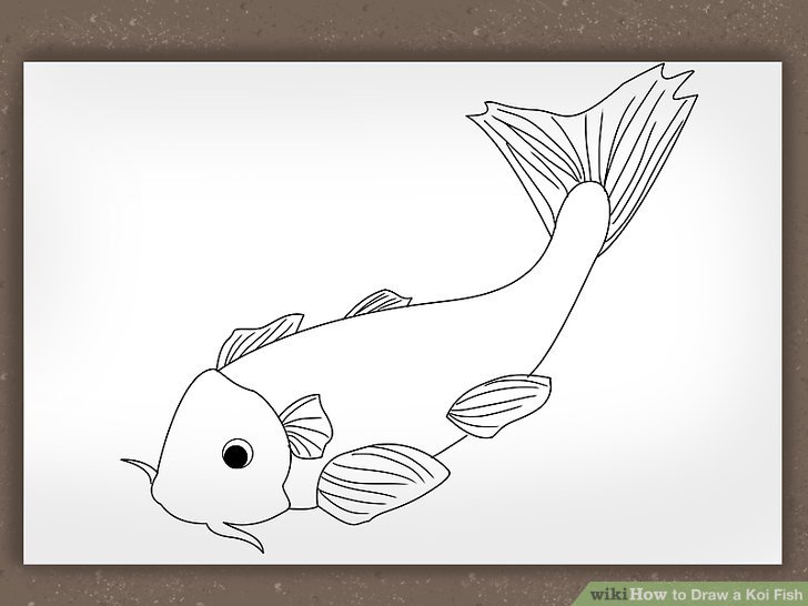 728x546 How To Draw A Koi Fish Steps - Coy Fish Drawing