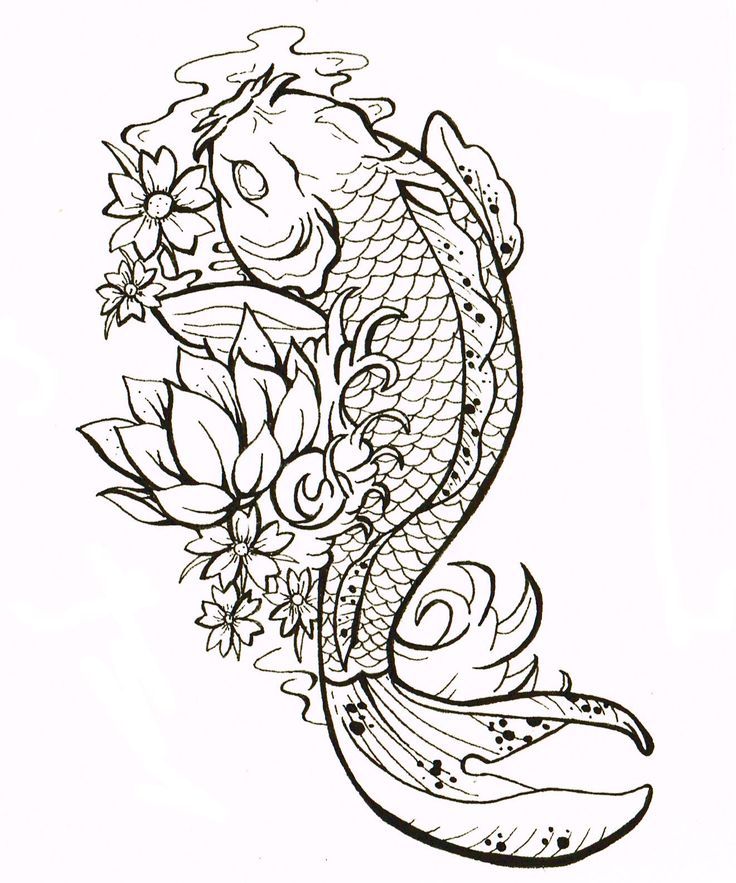 736x883 Koi Fish Drawing Outline - Coy Fish Drawing