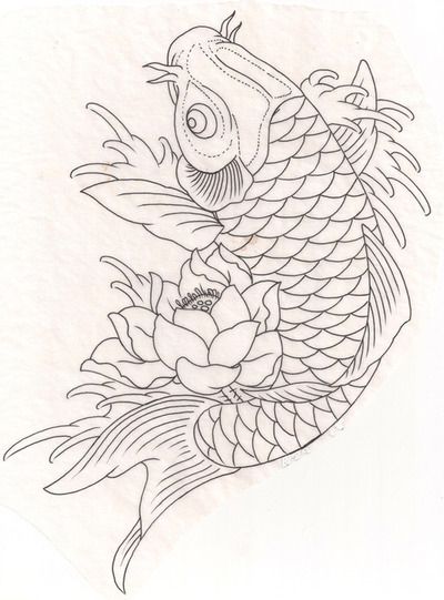 400x541 Koi Fish - Coy Fish Drawing