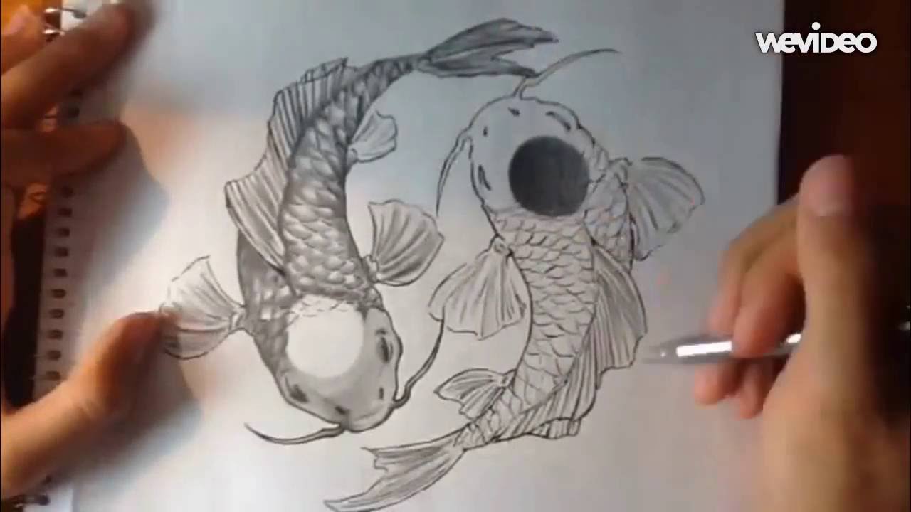 1280x720 Yin Yang Koi Fish - Coy Fish Drawing
