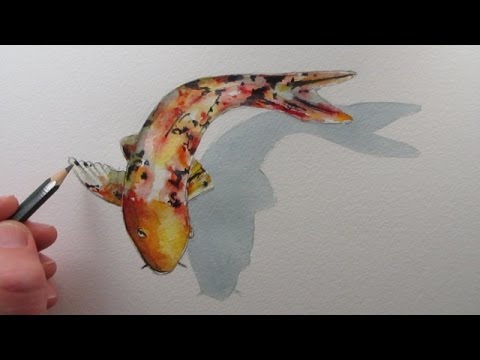 480x360 How To Draw A Fish Koi Carp Narrated Step - Coy Fish Drawing