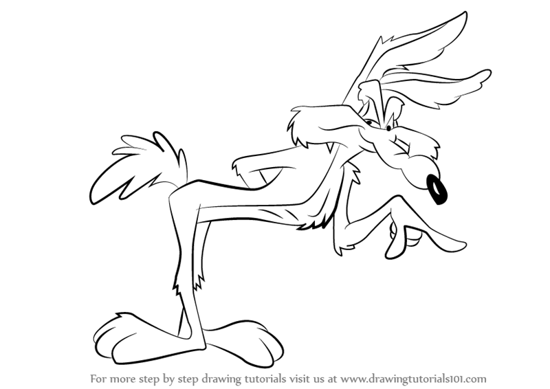 800x566 learn how to draw wile e coyote - Coyote Cartoon Drawing