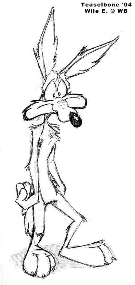 450x950 Wile E - Coyote Cartoon Drawing