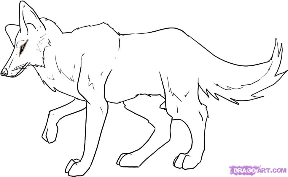 971x598 draw a coyote, step - Coyote Cartoon Drawing