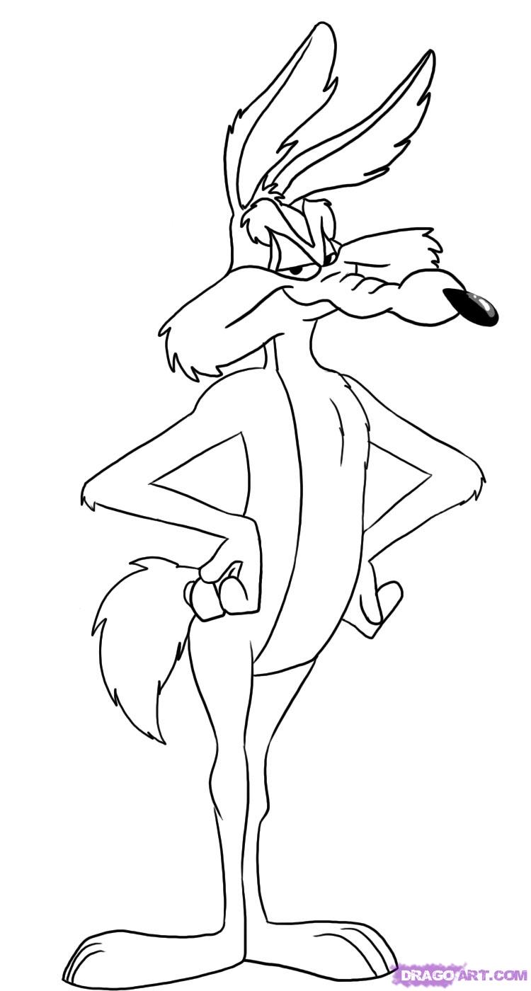 750x1400 how to draw wile e coyote, step - Coyote Cartoon Drawing.
