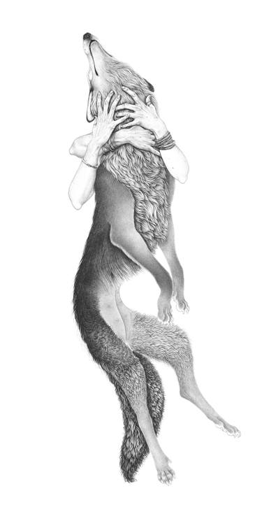 375x755 self portrait au coyote iii drawing - Coyote Drawing