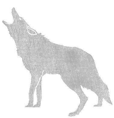 379x392 coyote drawing free vintage art - Coyote Drawing