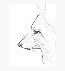 210x230 coyote drawing photographic prints redbubble - Coyote Drawing