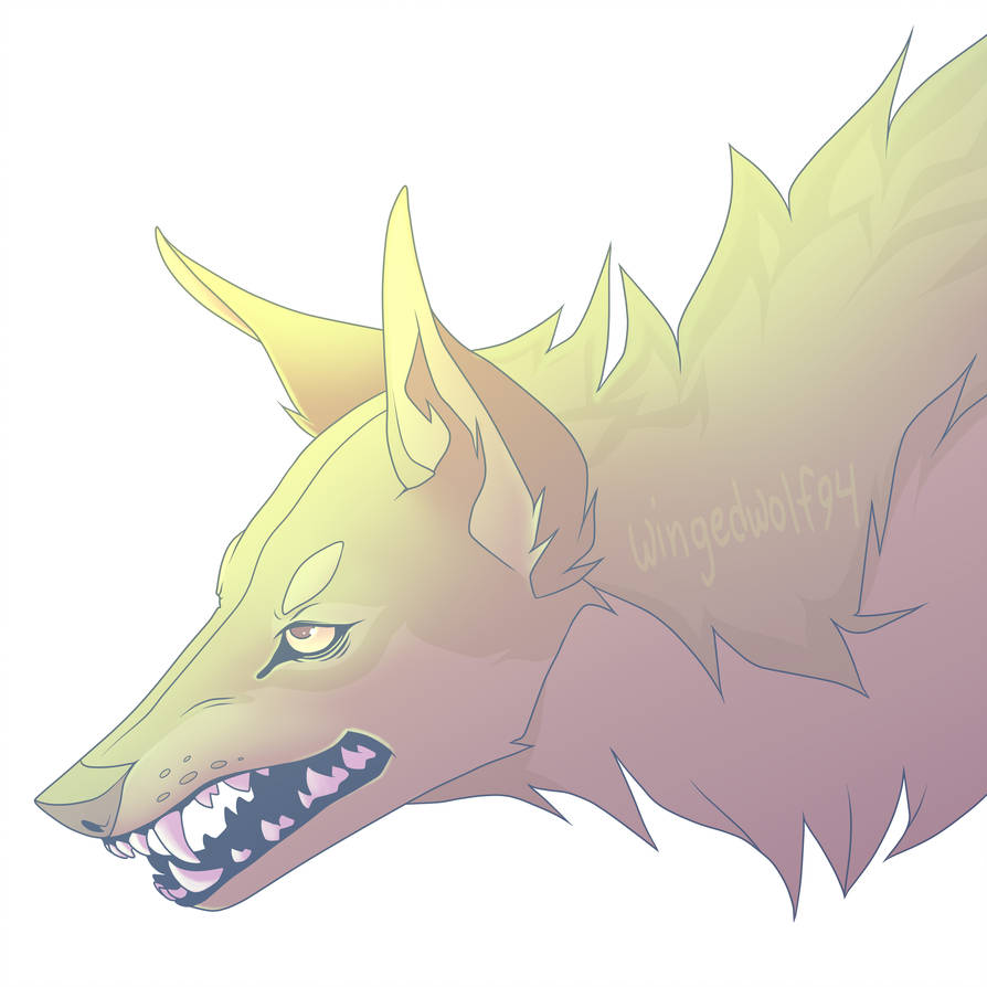 894x894 Coyote Head - Coyote Head Drawing