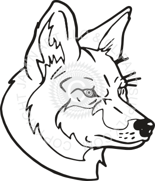 310x361 Coyote Head - Coyote Head Drawing