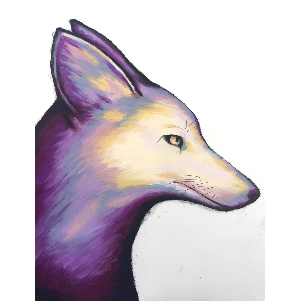 1200x1200 New Artwork Coyote Andrea Vickery - Coyote Head Drawing