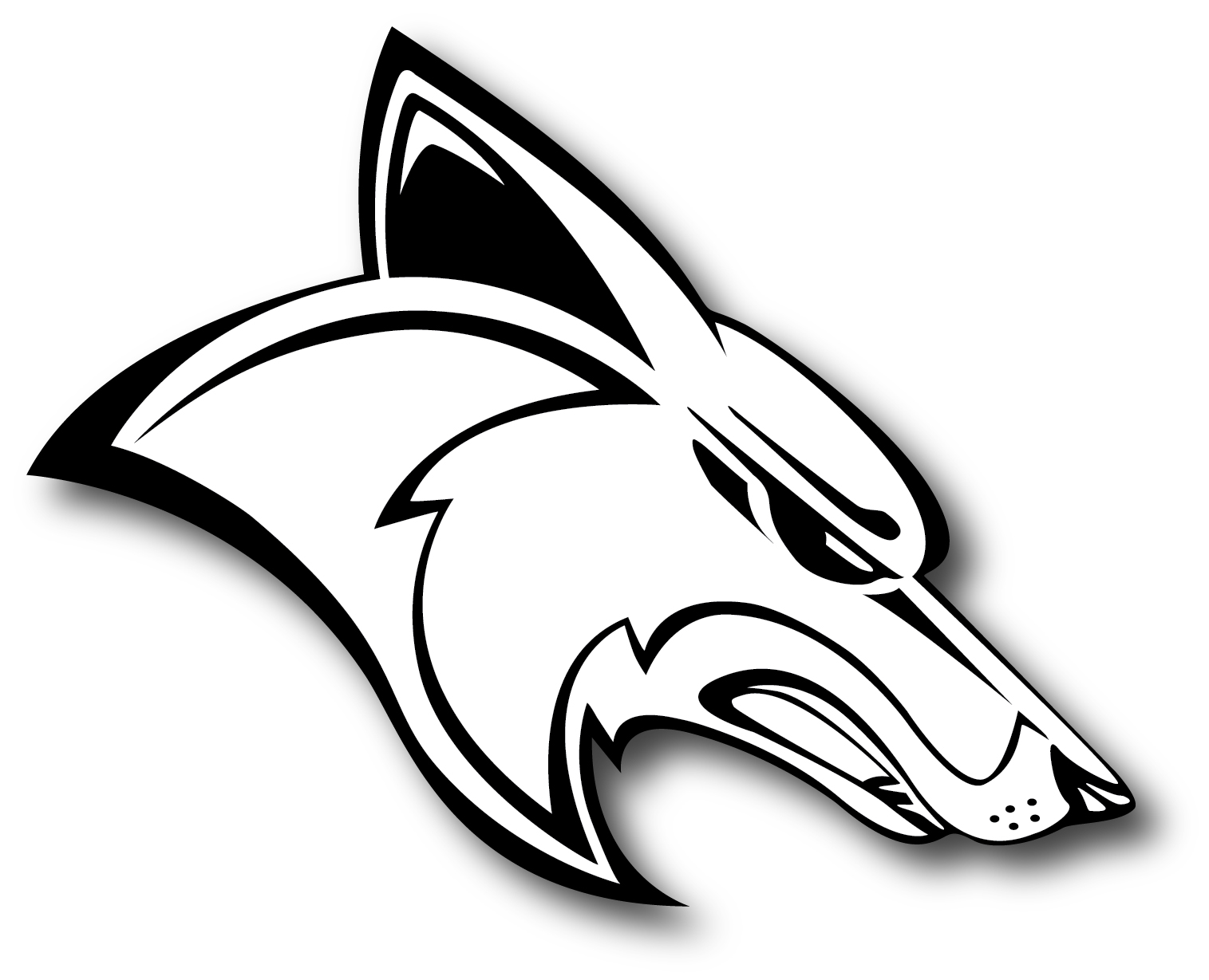 1515x1229 Trailer - Coyote Head Drawing