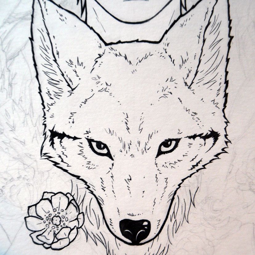 828x828 Coyote Drawing, I Want A Tattoo That Incorporates This Tattoo - Coyote Head Drawing
