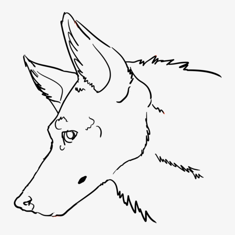 820x822 Coyote Drawing Hand - Coyote Head Drawing