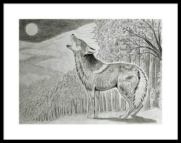 600x473 Coyote Howling At The Moonlight Framed Print - Coyote Howling Drawing