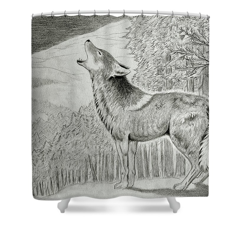 800x800 Coyote Howling At The Moonlight Shower Curtain For Sale - Coyote Howling Drawing