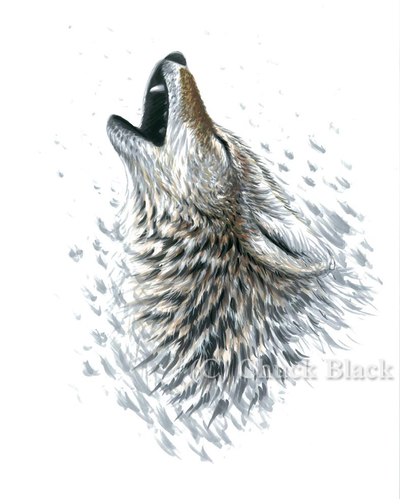 Coyote Howling Drawing at Explore collection of