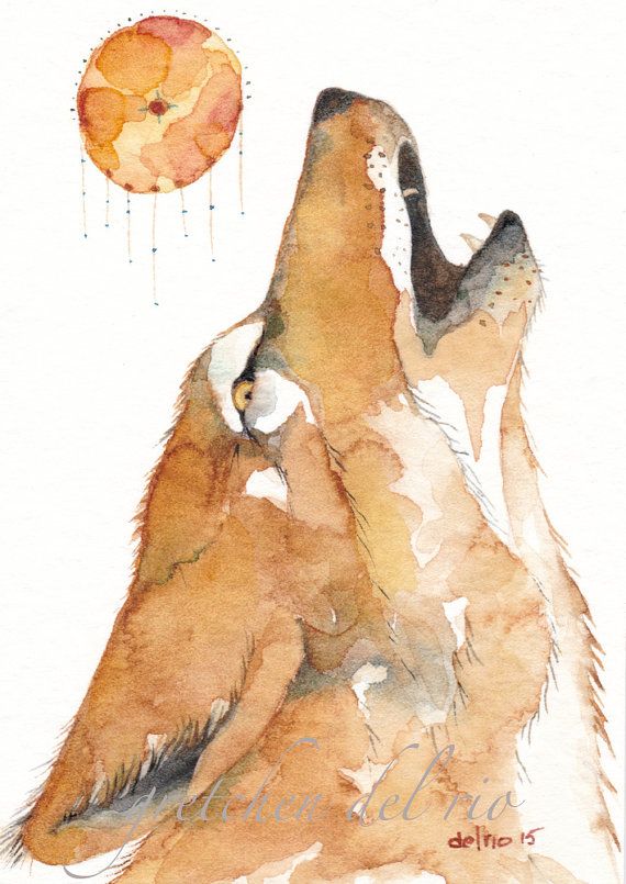 570x805 coyote howling aceo watercolor original - Coyote Howling Drawing