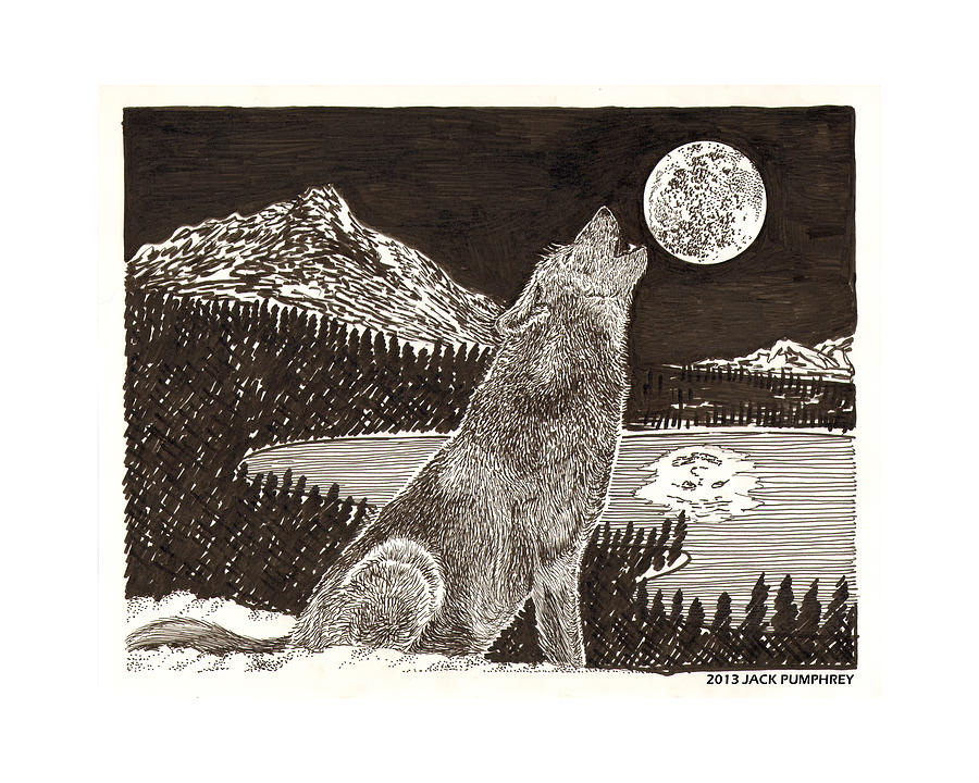 900x720 Coyote Full Moon Howling Drawing - Coyote Howling Drawing
