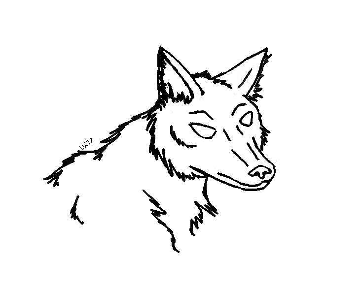 732x587 Free To Use! Coyote Line Art - Coyote Line Drawing