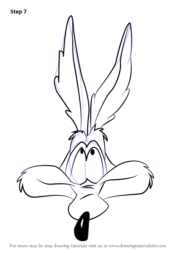 596x842 Learn How To Draw Wile E Coyote Face - Coyote Line Drawing
