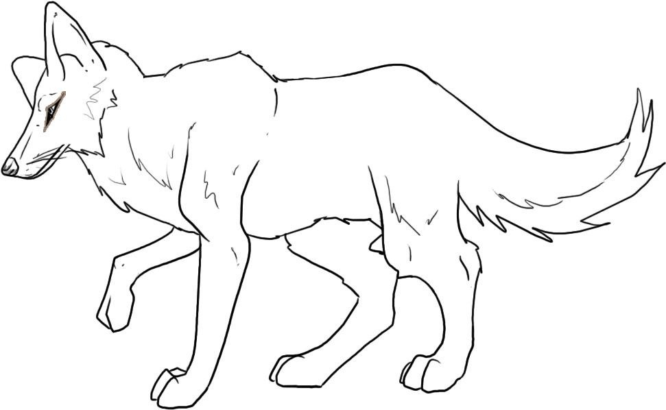 971x598 Coyote - Coyote Line Drawing
