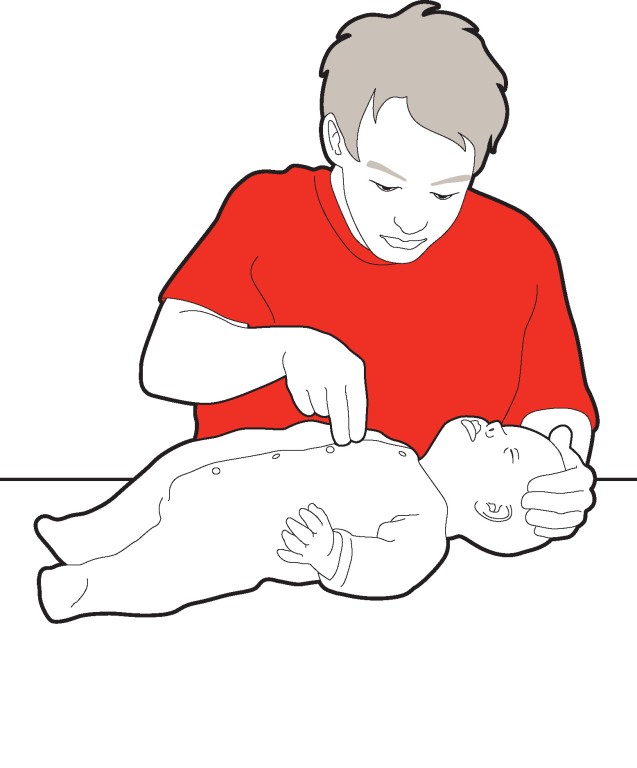 637x768 heartsaver pediatric firstaid cpr aed bellarina's culinary inc - Cpr Drawing