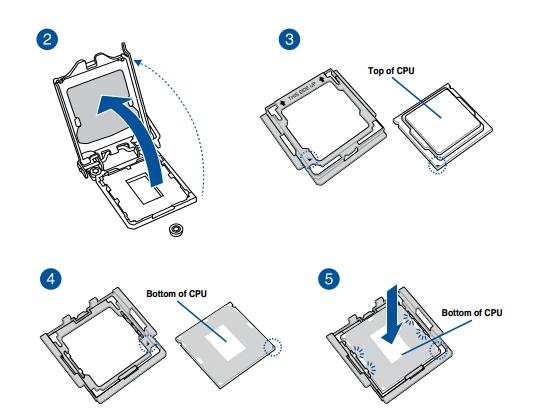 534x414 correct use of cpu installation tool on asus motherboard - Cpu Drawing