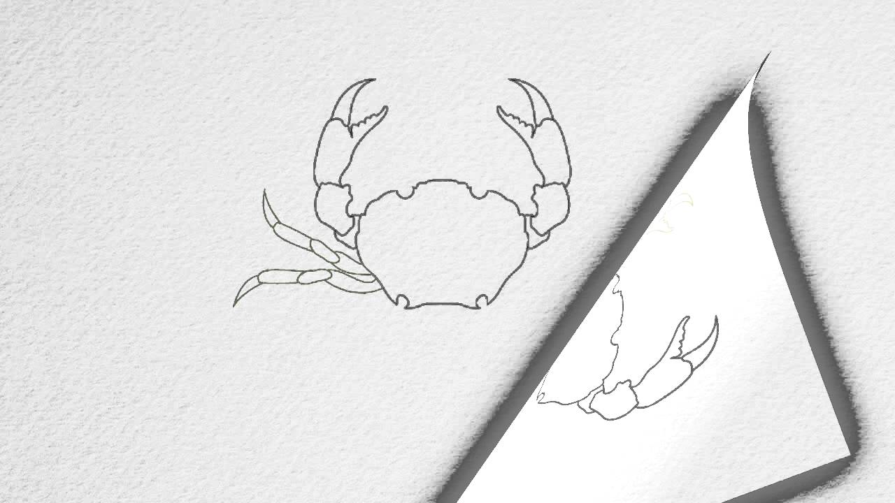 1280x720 How To Draw A Crab Step - Crab Claw Drawing