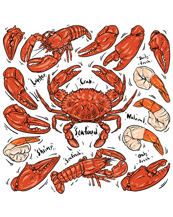 570x713 Off Sale Seafood Hand Draw Crab Lobster Hand Drawn Doodle - Crab Claw Drawing