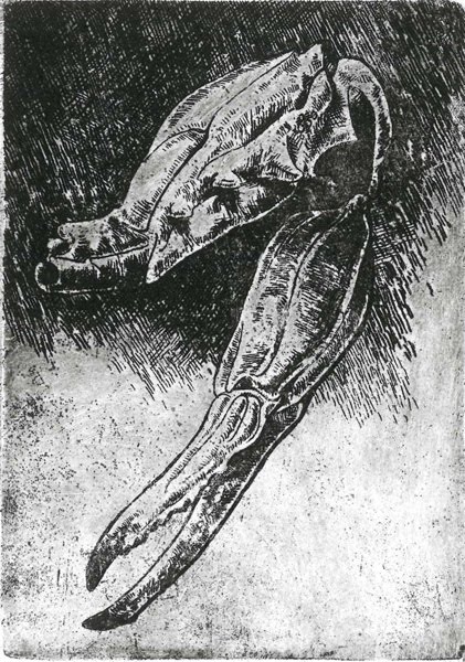 421x600 St Luke's Attic Crab Claws - Crab Claw Drawing