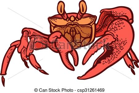 450x302 Detailed Hand Drawing Crab Vector - Crab Drawing