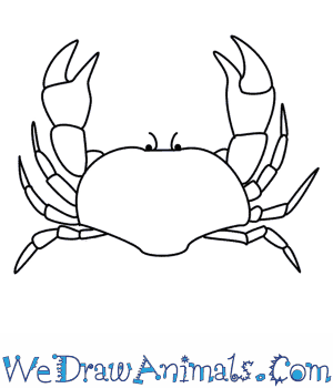300x350 How To Draw A Crab - Crab Drawing