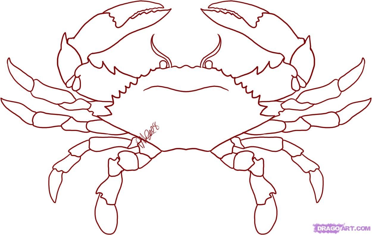 1250x789 How To Draw A Crab, Step - Crab Drawing