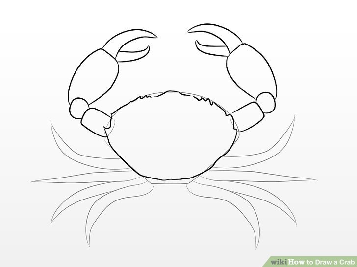 728x546 How To Draw A Crab Steps - Crab Drawing