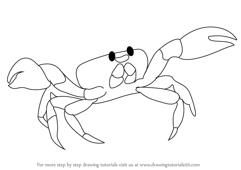 800x566 Learn How To Draw A Crab - Crab Drawing