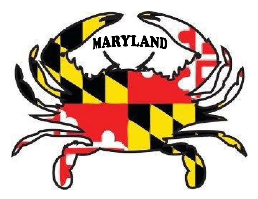 900x695 Maryland Crab Drawing - Crab Drawing